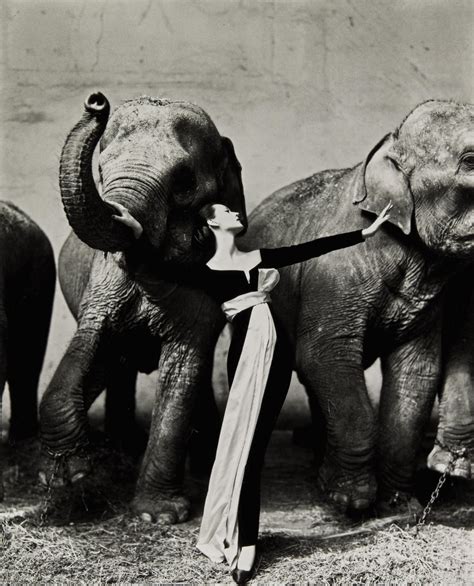 Dovima with elephants, evening dress by Dior, Cirque d'Hiver, Paris